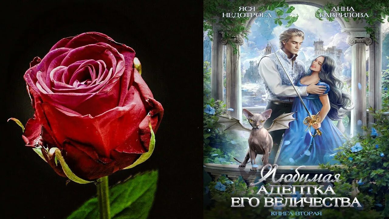 Яся недотрога все книги читать. Любимая Адептка его Величества. Любимая Адептка его Величества 2.