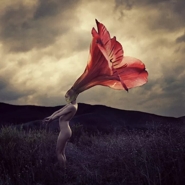 Красиво разобьюсь. Брук Шейден. Brooke Shaden фотограф. Фотоискусство. Сюрреализм.