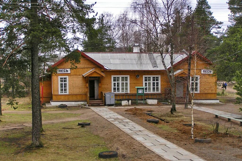 Песь новгородская область хвойнинский