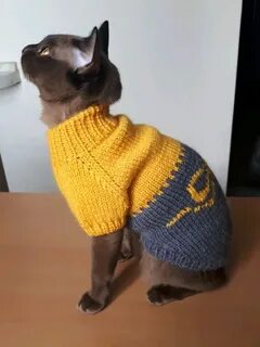 Свитер для кота спицами