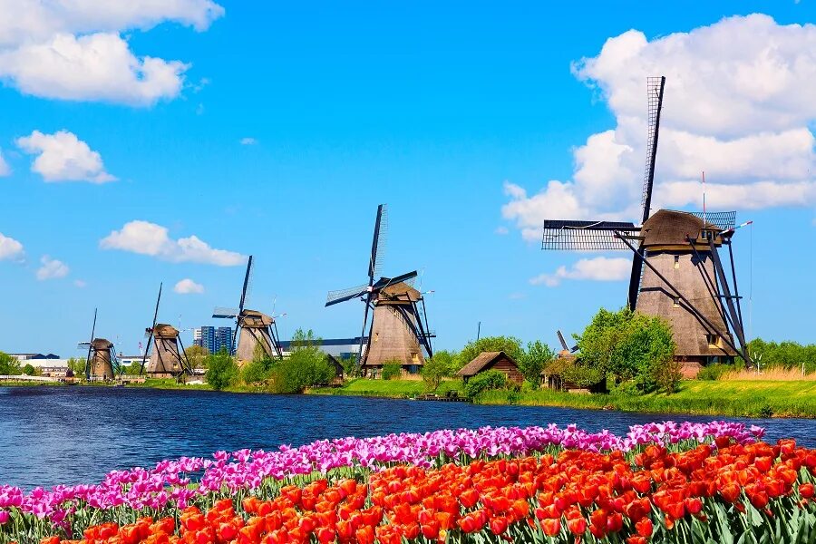 Северный брабант нидерланды. Слово нидерланды. Dutch country. Dutch country. Нидерланды ветряные мельницы в деревне киндердейк.