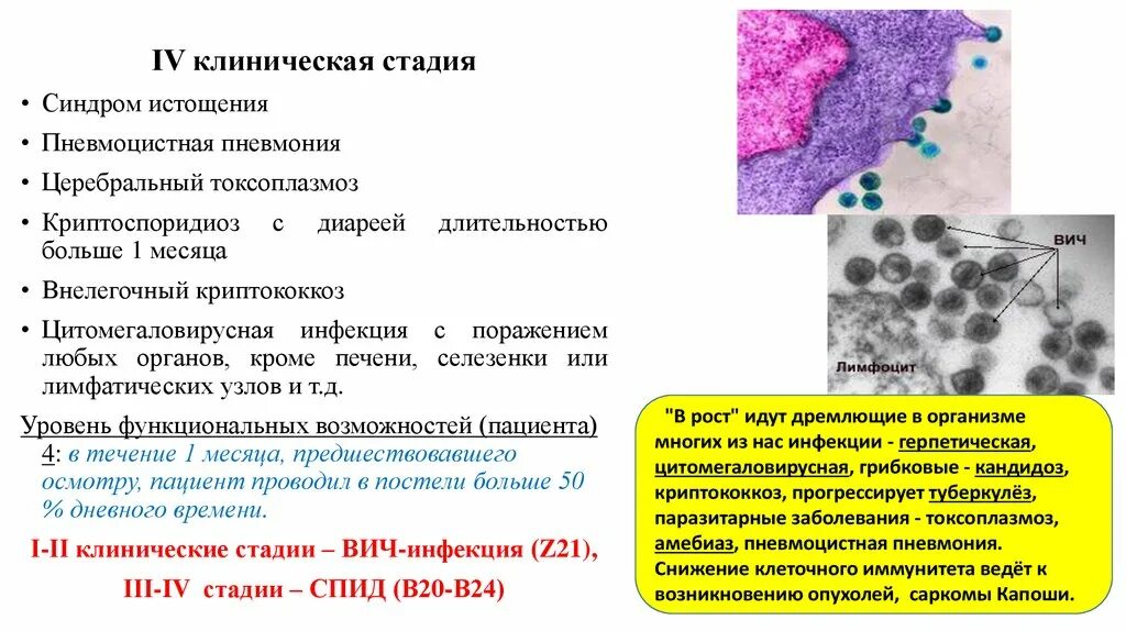 Пневмоцистная пневмония диагностический критерий. Пневмоцистная пневмония клинические. Клинические стадии ВИЧ инфекции. ВИЧ инфекция пневмоцистная пневмония. Спид терминальная стадия