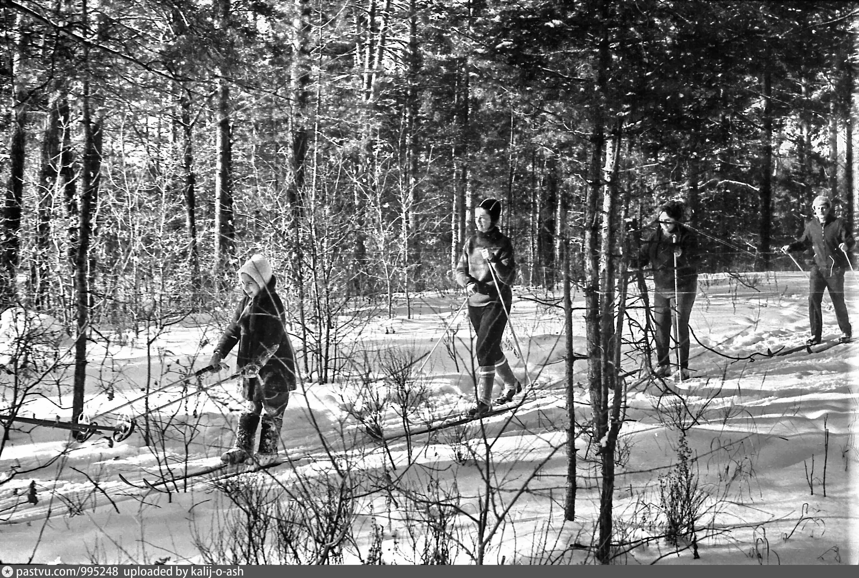 Лыжник 1970 годов. Прогулка на лыжах в лесу. Изо лыжная прогулка.. Февраль 1970 год