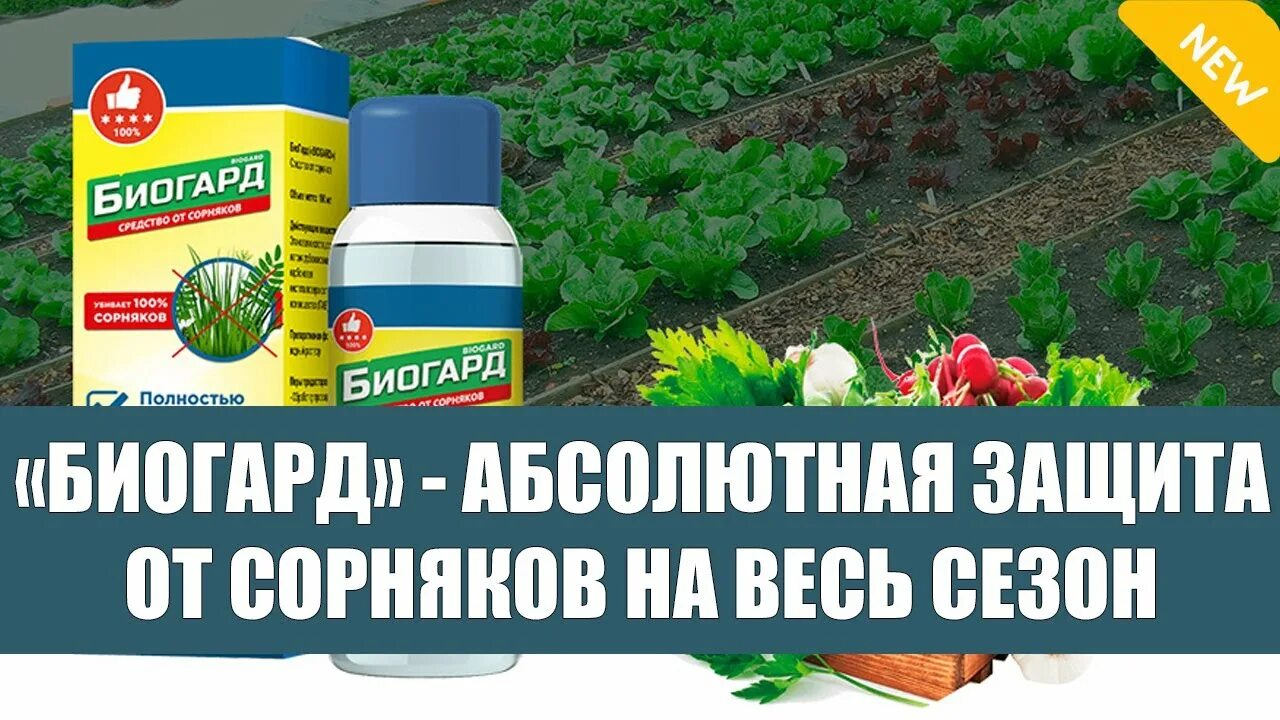 Эффективное средство от сорняков на огороде. Биогард средство от сорняков. Лучшие средства от сорняков в огороде Биогард. Тайфун отрава для сорняков на огороде. От сорняков на огороде эффективное