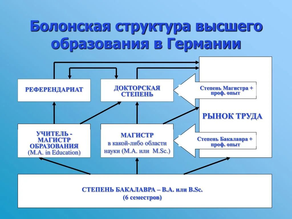 Высшие образования названия. Система образования в Германии схема. Структура системы высшего образования. Структура образования в Германии. Схема высшего образования.