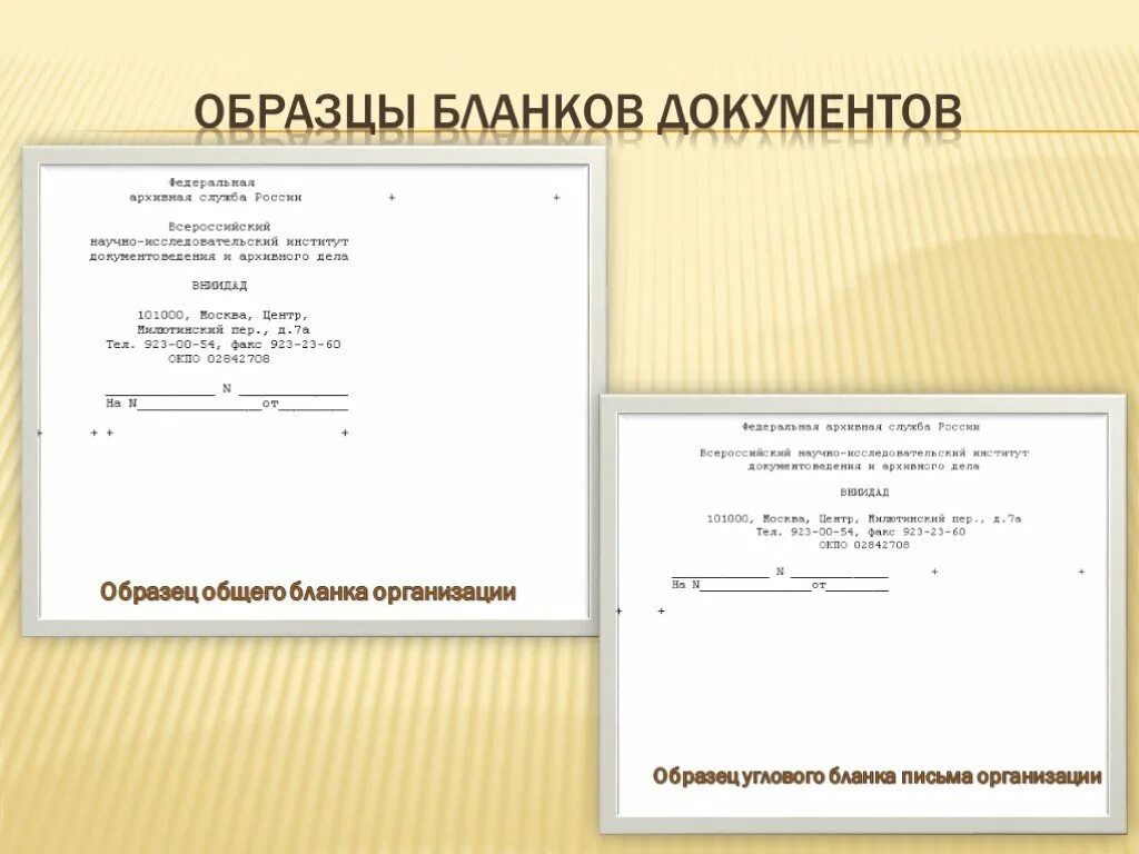 Уголовный документ организации. Образец общего Бланка организации. Углового Бланка письма организации. Образец. Пример общего Бланка документа.