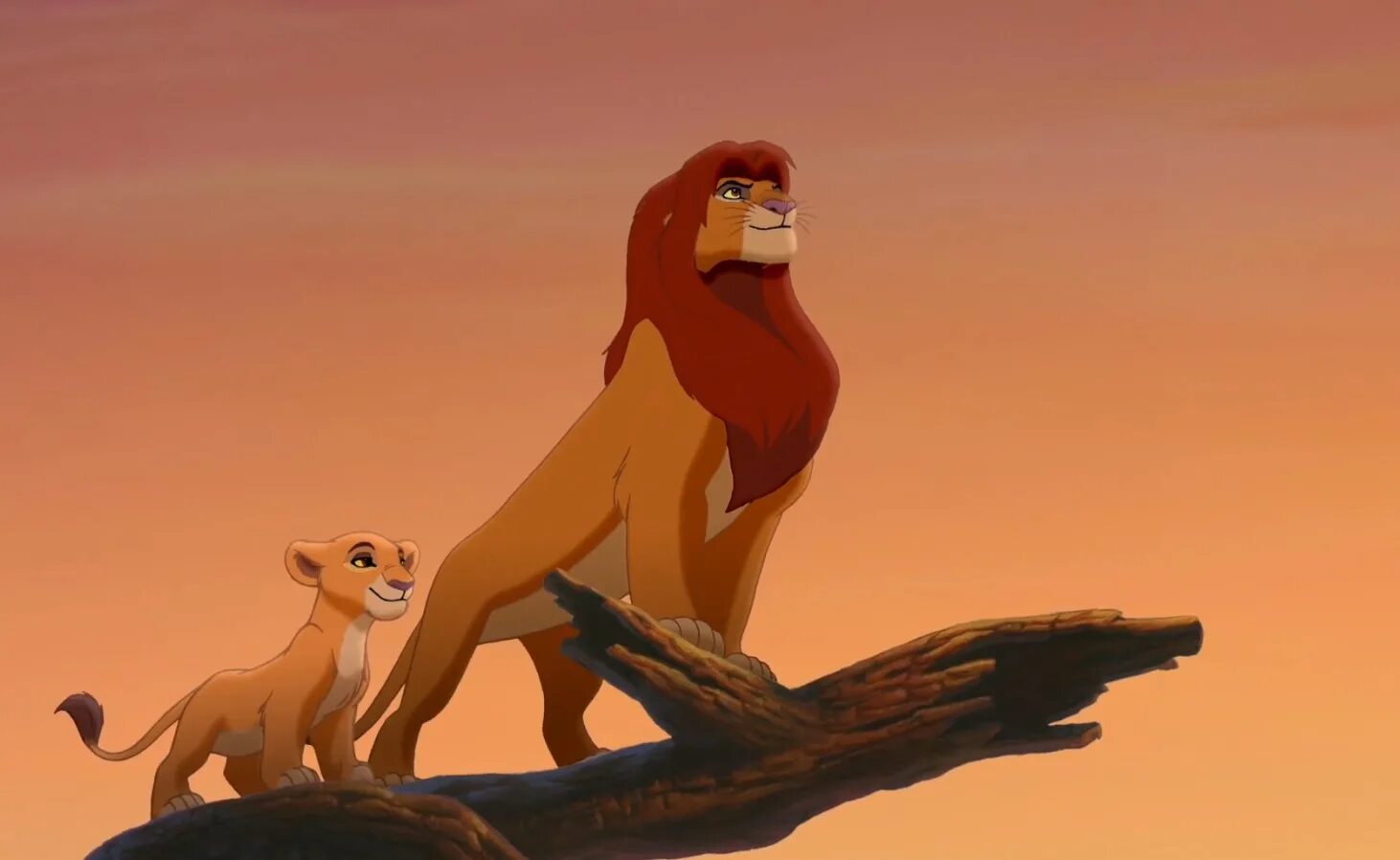 Теория король лев. Король лев симба король. Оригинальный король лев. Оригинальный король лев. Король лев фильм 1994.