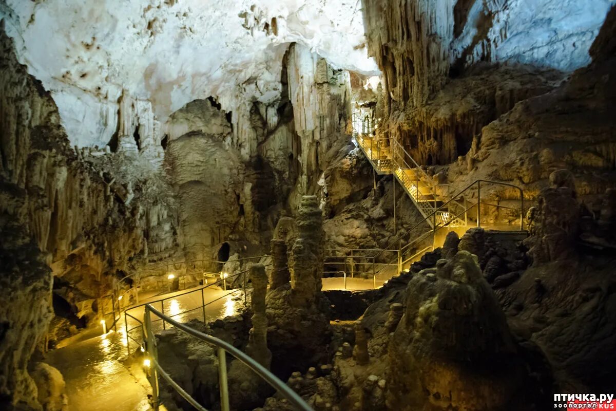 пещера эмине баир хосар (мамонтовая пещера). пещера баир. пещеры эмине баир хоса. эмине баир хосар. эмине-баир-хосар пещера в крыму.