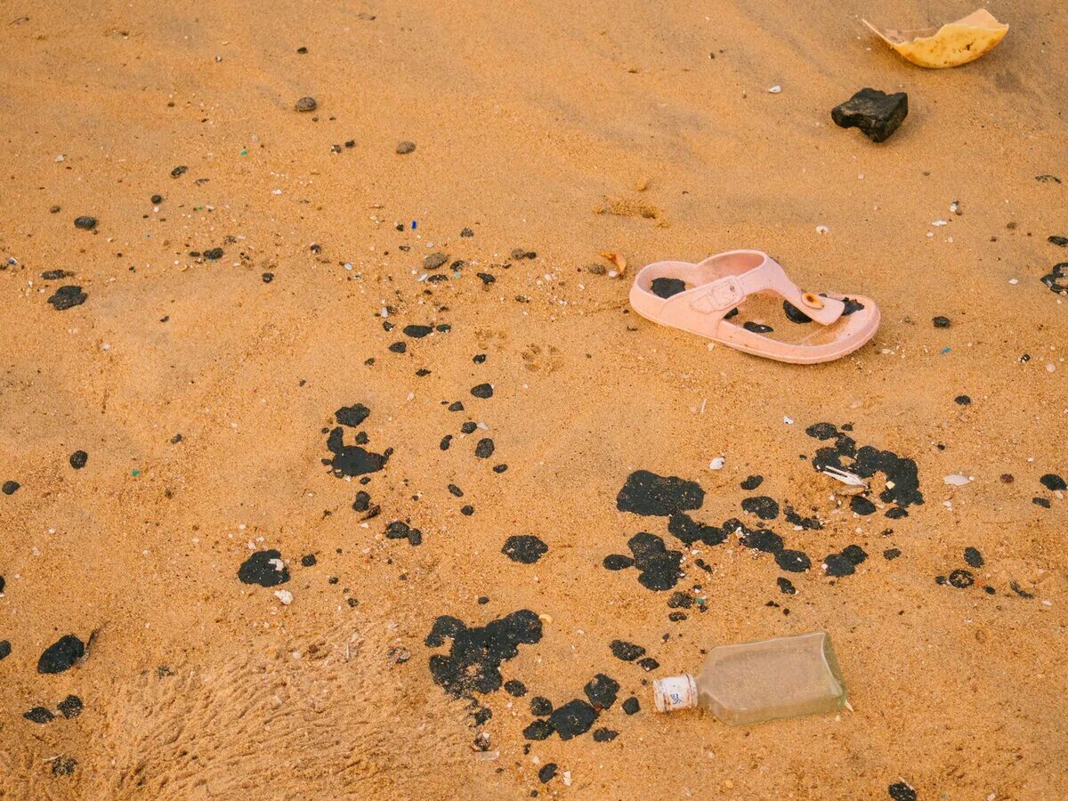 Черви в песке. Песочные черви на пляже. Черви на Песчаном пляже. Песочный червь на пляже.
