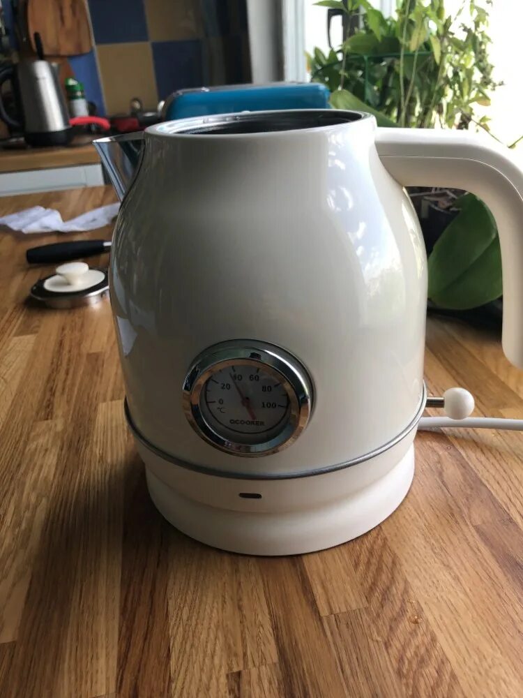 Qcooker electric kettle