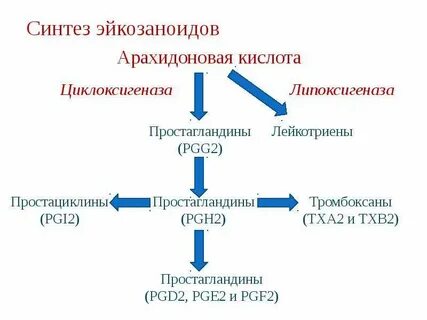 Простагландины и лейкотриены