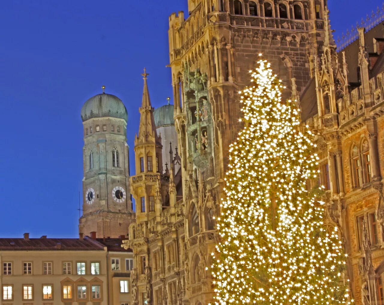 Munich christmas tree. мюнхен елка. кристмас в мюнхен. рождественский нюрнберг. рождество в германии мюнхен.