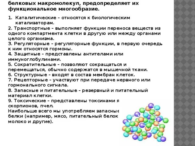 Многообразие белков. Белки токсическая функция. Токсическая функция белков. Токсическая роль белков. Функциональное многообразие белков.