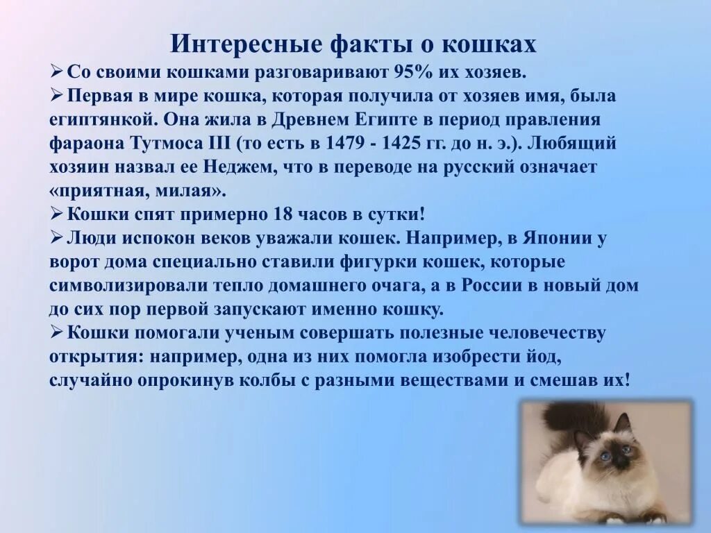 Информация о кошках и собаках. Интересная информация о кошках. интересные факты о кошках для детей. интересная информация о кошках и собаках.