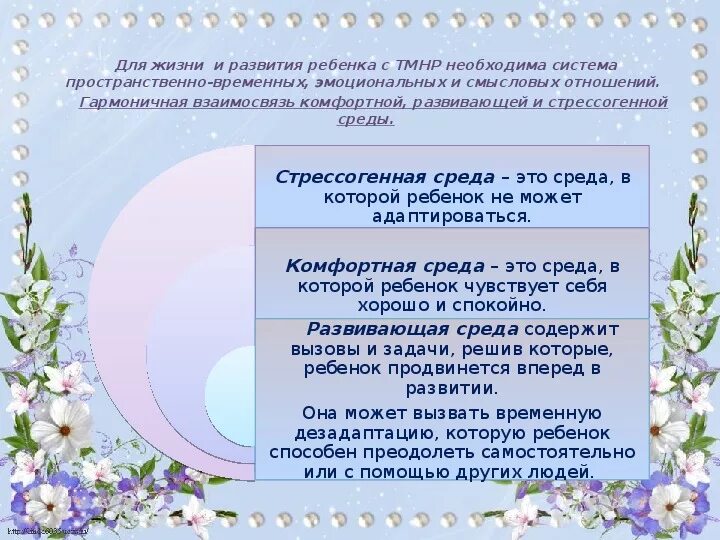 Программа тмнр 1 класс. Презентация урока тмнр. тмнр описание.