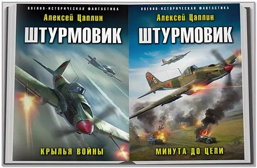 штурмовик книга. знаменитости из раменского. небо в огне. минута до цели алексей цаплин книга. крылья войны.