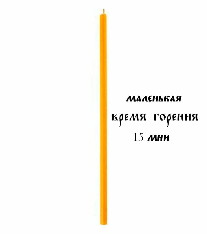 Поставить свечку за экзамен по биологии. Поставить свечку за экзамен по биологии