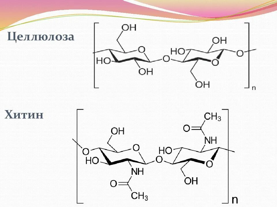 Строение молекулы крахмала и целлюлозы. Хитин муреин и Целлюлоза крахмал. Крахмал Целлюлоза гликоген хитин. Углеводы формула хитин. Муреин хитин Целлюлоза.
