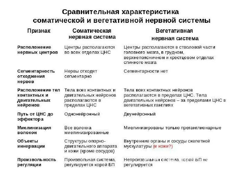 Сравнительная характеристика нервных систем. Сравнительная характеристика нервных систем. Отличия соматической и вегетативной нервной системы таблица. Характеристики соматической нервной системы. Сравнительная характеристика нервных систем.
