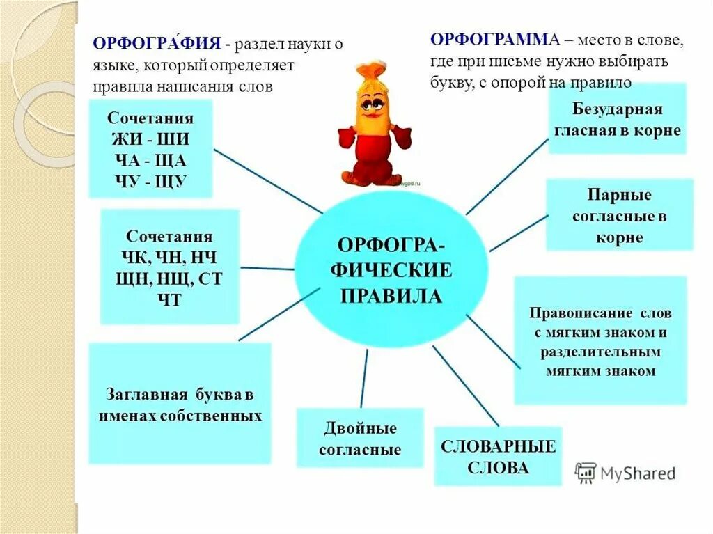 Какая орфограмма относится слово