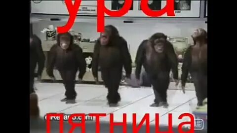 Танцующие обезьяны музыка
