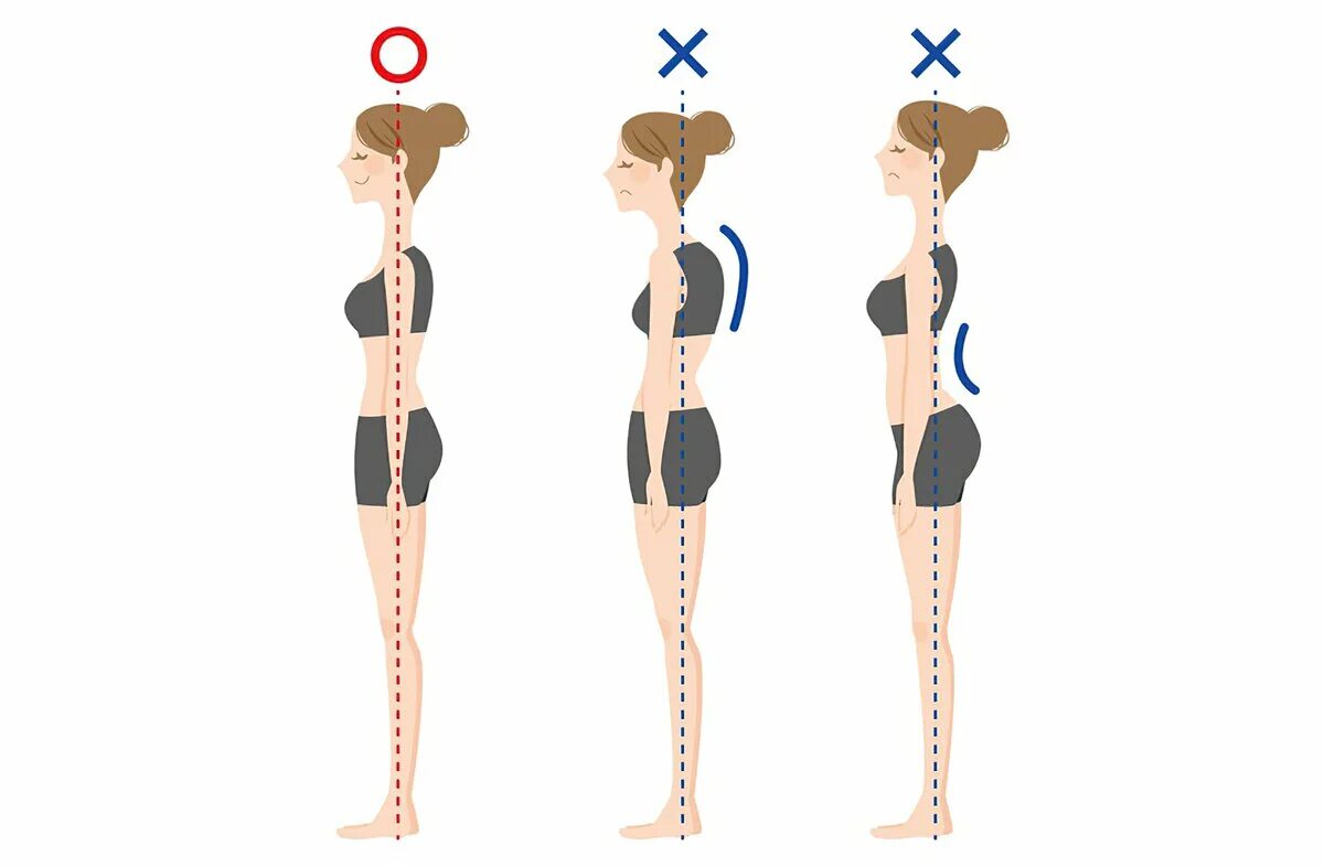 Правильная поясница. Правильная осанка. Ровная спина. Ровная осанка. Прямая осанка.