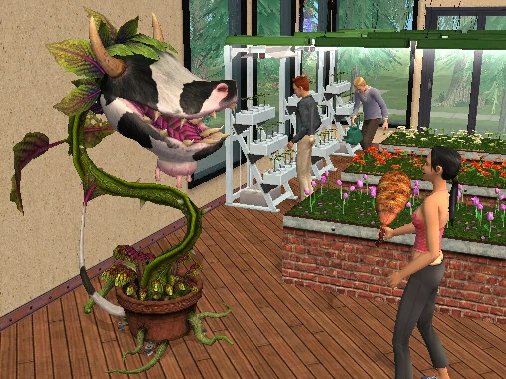 The SIMS 2: университет. SIMS 2 дополнение университет. Жвачное растение симс 2. The SIMS 2 2004.