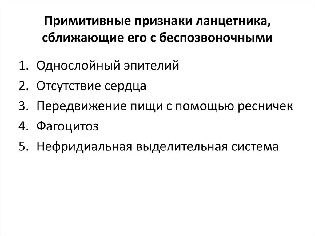 Примитивные признаки. Признаки примитивности. Признаки ланцетника. Примитивные признаки ланцетника.