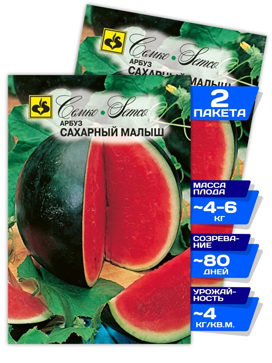 арбуз сахарный описание. семена сахарный малыш. сахарный малышок арбуз. сорт арбуза сахарный малыш. арбуз скороспелый сахарный уральский дачник.