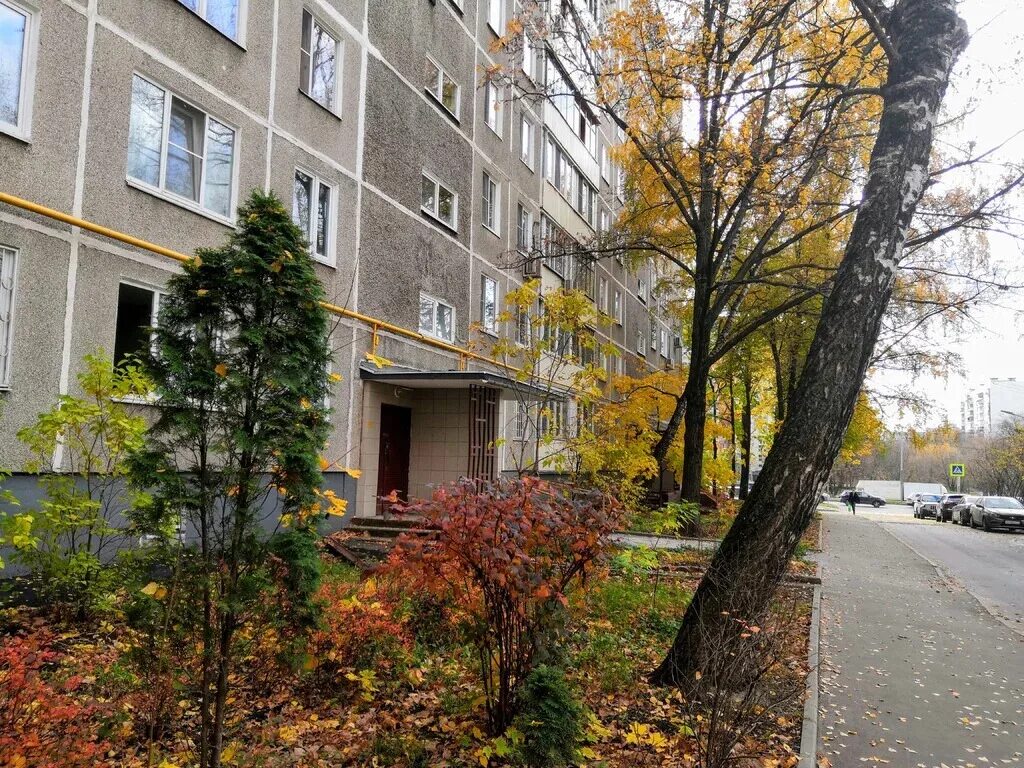 Улица миклухо маклая д 29 к 2. Миклухо-маклая 29 к1. москва, улица миклухо-маклая, д. 29, к. 2. улица миклухо-маклая 29к2. ул миклухо-маклая д 29 корп 1.