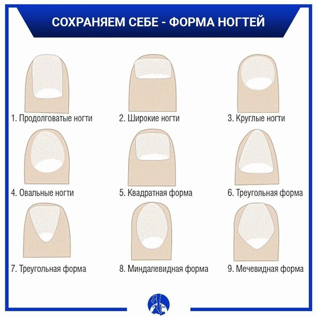 Правильно округлые. Широкая ногтевая пластина какая форма ногтей подходит. Квадрат овал форма ногтей на короткие. Форма ногтевой пластины и характер. Форма ногтей мягкий овал.