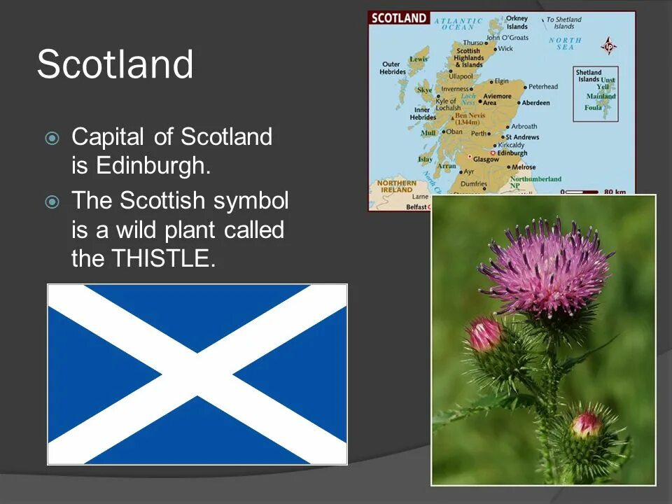 Scotland презентация. Шотландия проект по английскому. Проект Шотландия. Шотландия для детей презентация.