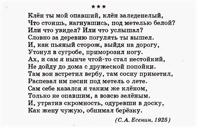 Клён ты мой опавший Есенин текст. Клён ты мой опавший слова. Клён ты мой опавший текст. Клён ты мой опавший Есенин.