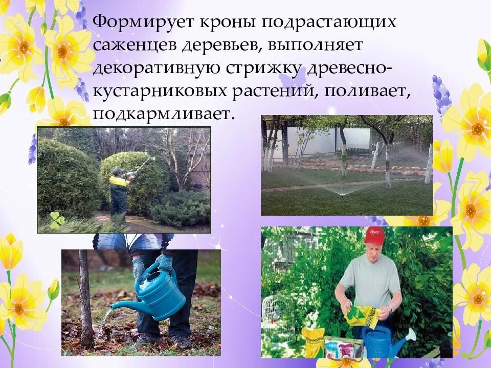 Садовник для презентации. Презентация профессия садовник. Садовник озеленитель. Профессии садоводника. Сообщение о садовнике.