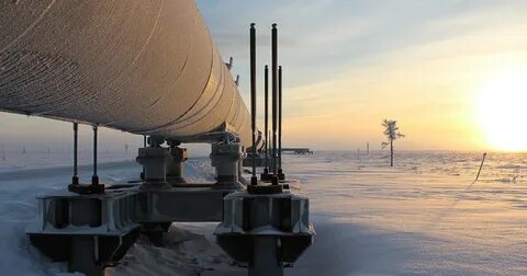 Сливовый облегченный закупорив красивее нефтепровод