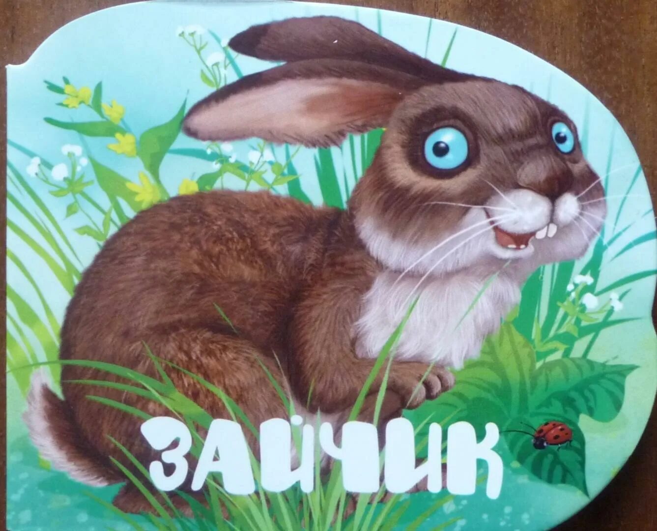 Книга про зайца. Книги про Зайцев. Заяц с книгой. Заяц книжная иллюстрация.