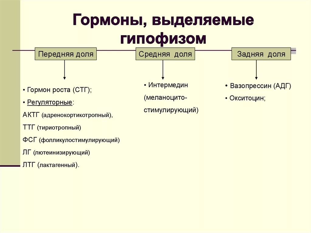 Повышение гормона гипофиз. Гормоны передней средней задней доли. Гормоны передней и задней доли гипофиза.