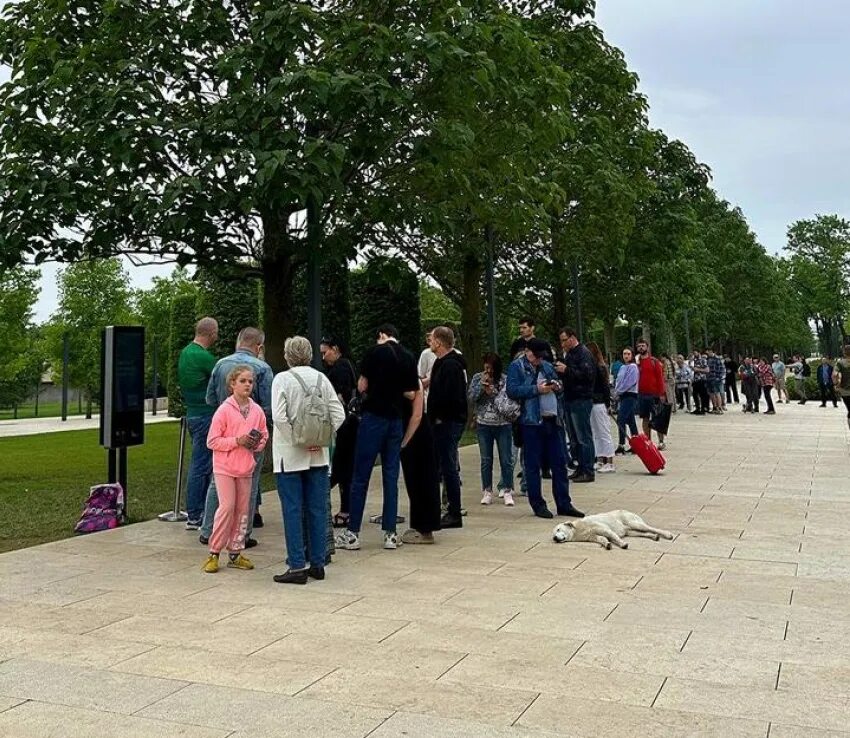 Японский сад в парке галицкого в краснодаре. Парк галенского краснодар японский сад. Японский сад пагода тахото. Японский сад краснодар без очереди. Очередь в японский сад краснодар.