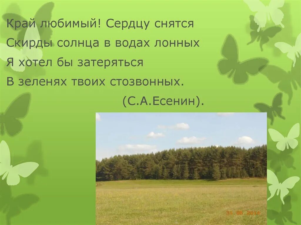 Окружающему миру разнообразие природы родного края. Разнообразие природы родного края. Разнообразиеприроыроногокрая. Проект разнообразие природы родного края. Окружающий мир природа родного края.