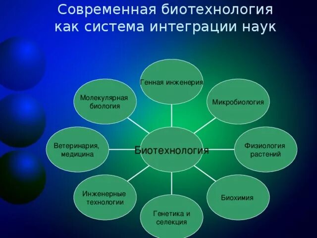 Биотехнология кластер. Биотехнология направления биотехнологии. Современные направления биотехнологии. Кластер на тему биотехнология. Связь биологии с другими