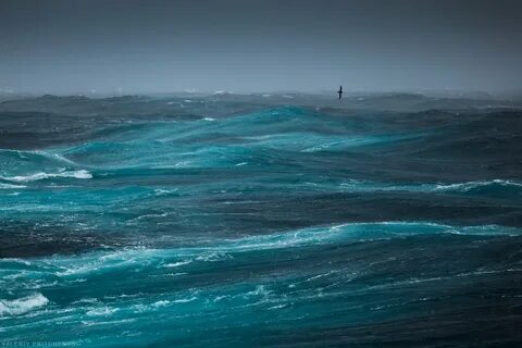 Атлантический океан (87 фото) .