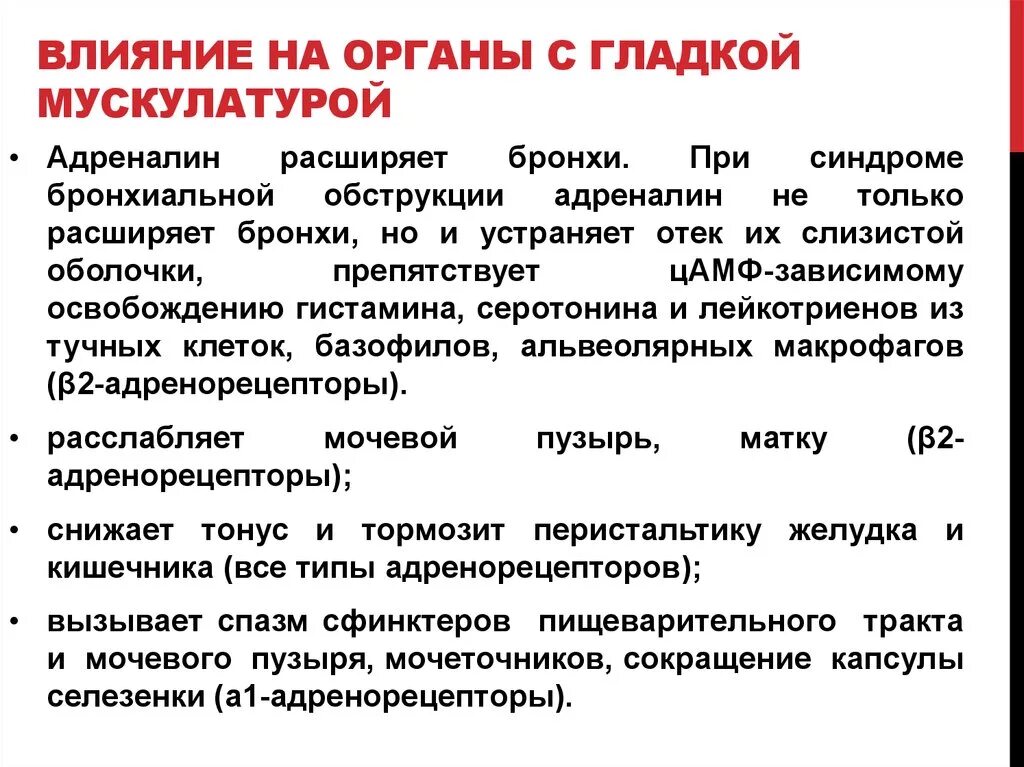 Адреналин кишечник. Средства влияющие на адренергические синапсы презентация. Адреналин расширяет бронхи. Адреналин воздействие на бронхи. Влияние адреналина на бронхи.