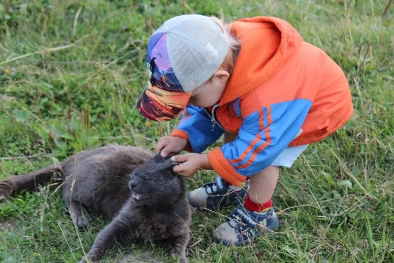 юный натуралист дикие животные. журнал юный натуралист 2020. руперт банни картины. натуралистов поражала. натуралистов поражала.