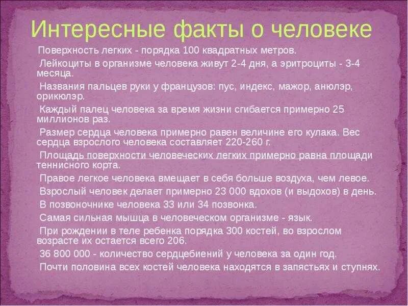 Точный факт. Интересные факты обо всем. Интересные факты о мозге человека. Интересные факты. Интересные факты об организме человека.