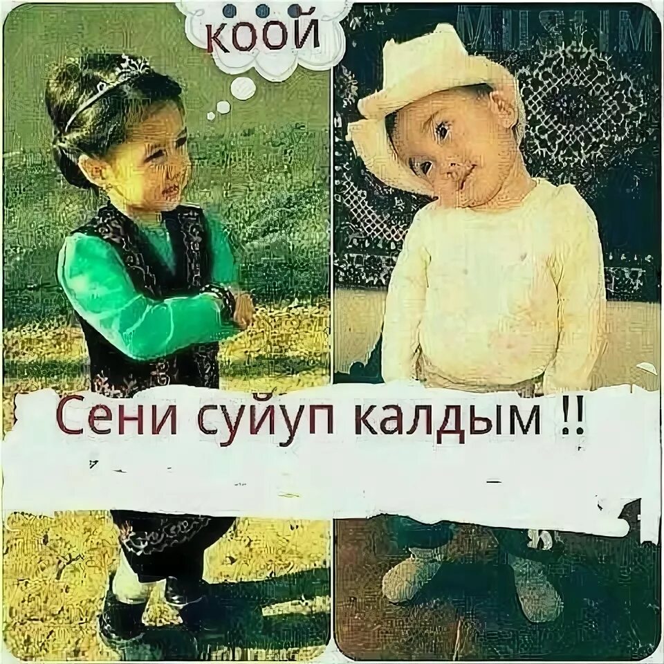 Кордимде кулап калдым. Сени суйуп калдым. Суйупкалдым кантейин. Суйуп калдым кантейин Текс.