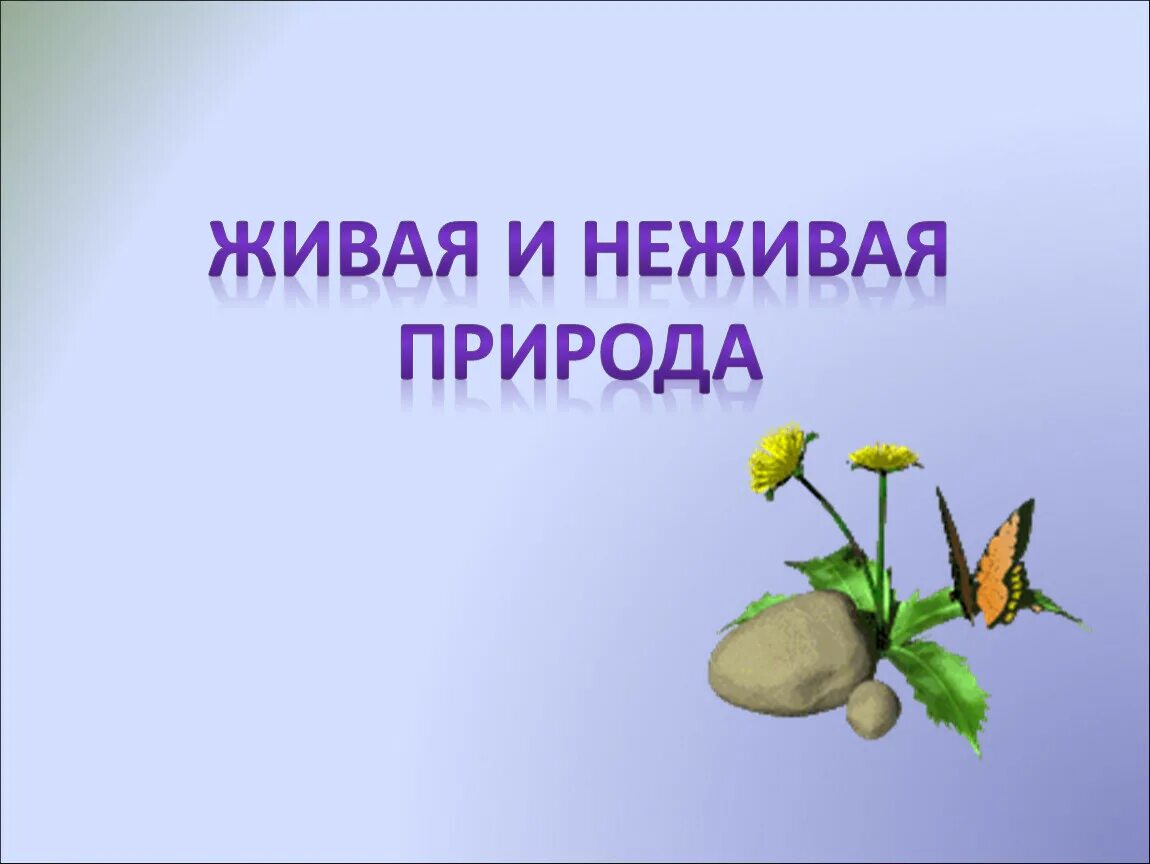 Тело природы 3 класс. Живая и неживая природа. Живая и неживая природа 5 класс. Живая и неживая природа 5 класс биология. Физминутка Живая и неживая природа.