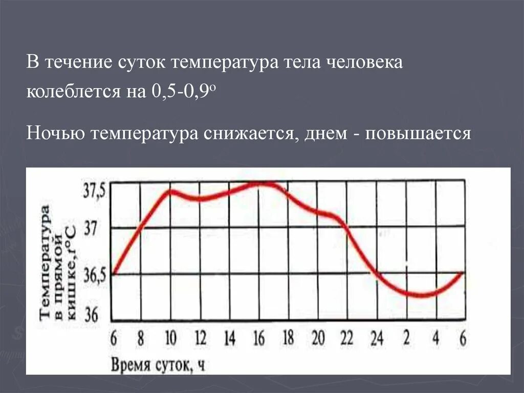 Если в течении суток самая высокая. Температура тела в течение суток. Колебания температуры тела в течение дня. Изменение температуры тела. Суточные колебания температуры человека.