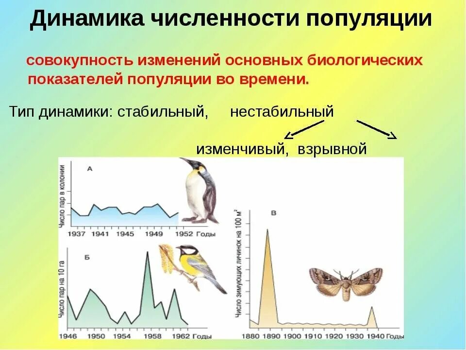 Динамика численности популяции. Изменение численности популяции. Динамика роста численности популяции. Колебания численности популяции.