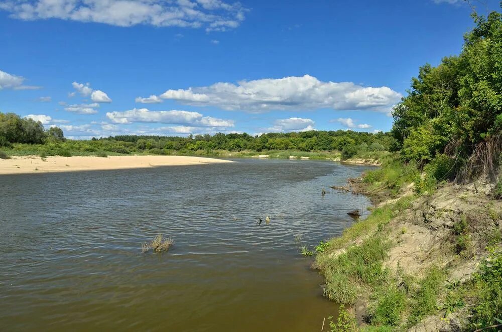 Река сура нижегородская область. Озеро бочаг курмыш. Река сура марий эл. Река пенза , приток сура. Сура саранск река.