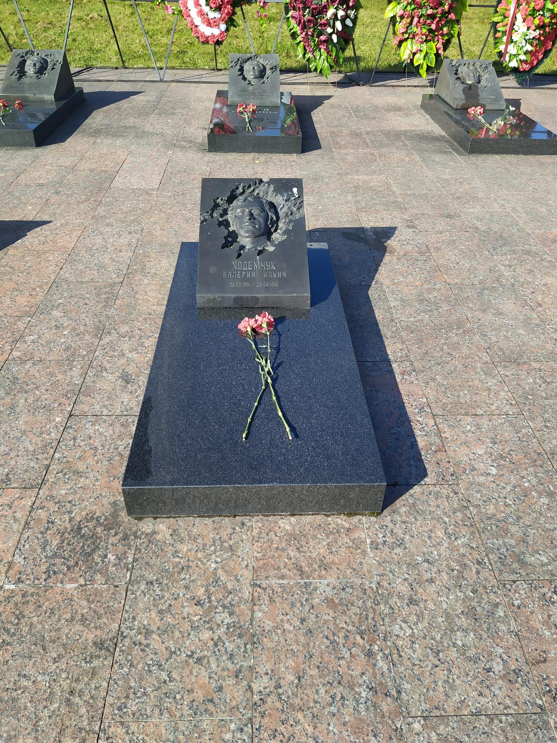 Самара воинские захоронения на городском кладбище. Кладбище смоленское тула аллея славы. Аллея славы кострома кладбище. Лемешевское кладбище. Бадалык 2024.